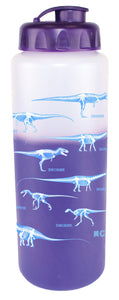 CMC DINOS 32 OZ WATERBOTTLE