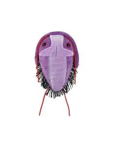 TRILOBITE PLUSH