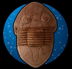 TRILOBITE BROWN PLUSH 8"